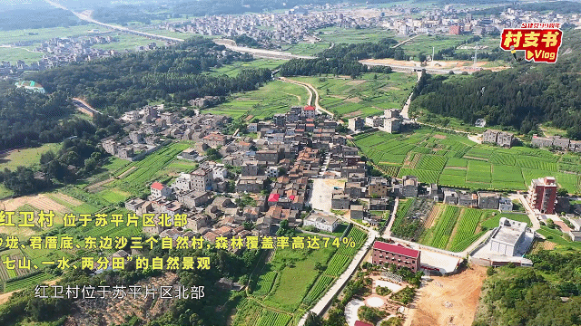 红卫村1.gif