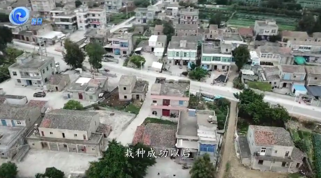 平潭故事丨守望乡村——赤“橙”之心