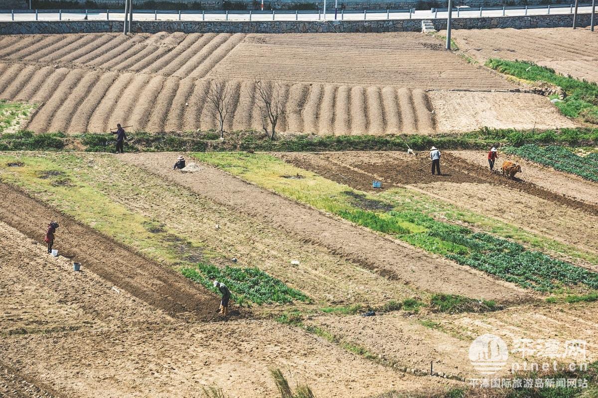 不负春光 万象“耕”新