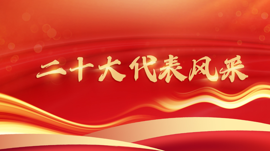 二十大代表风采