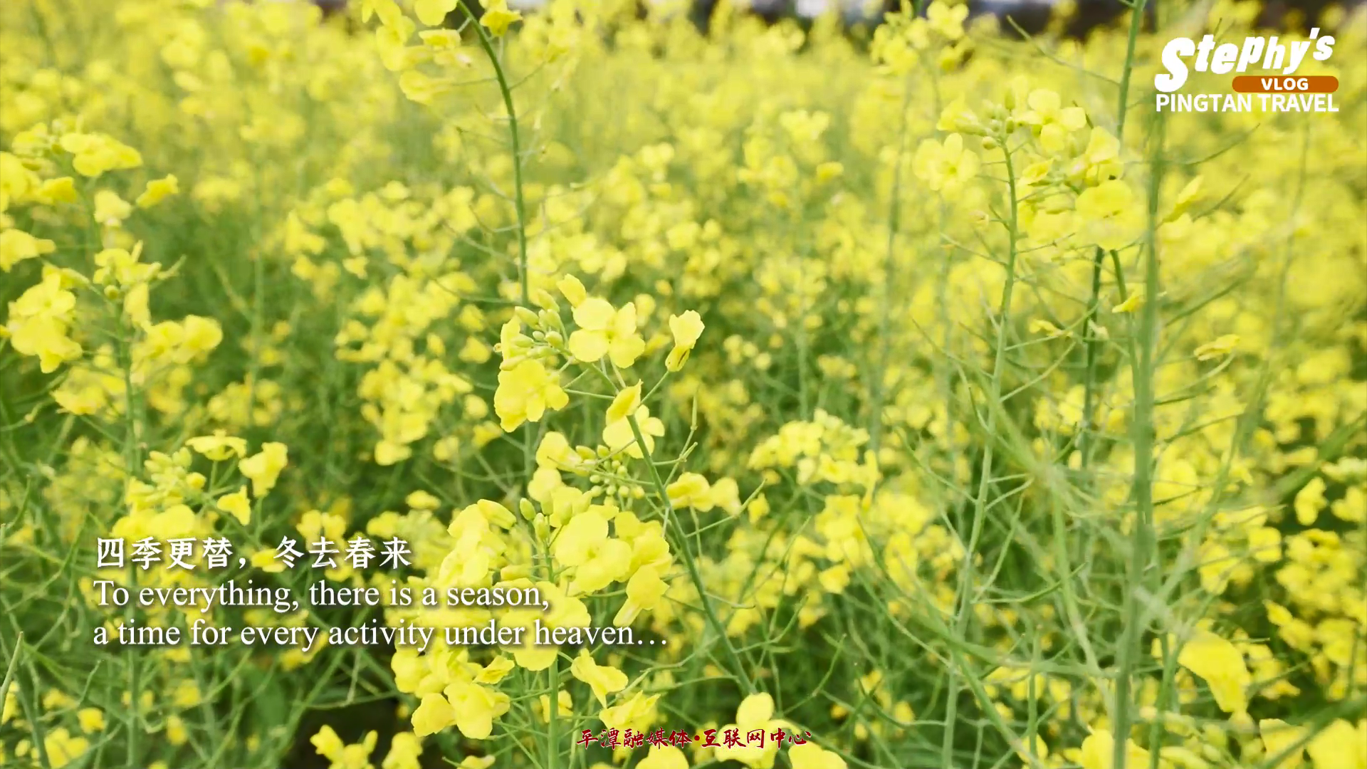 在平潭出游踏春