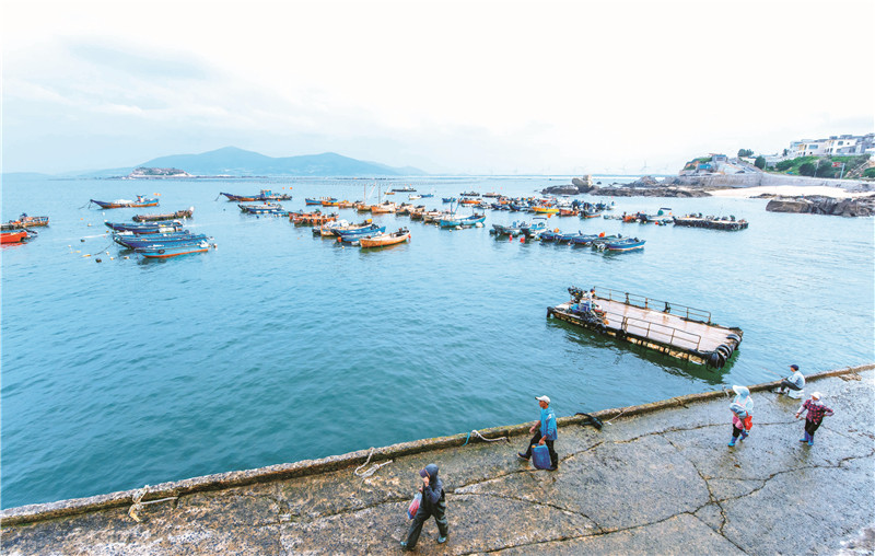 渔船在港口静候,完成修补工作的渔民上岸休(1776183)-20230526092511.