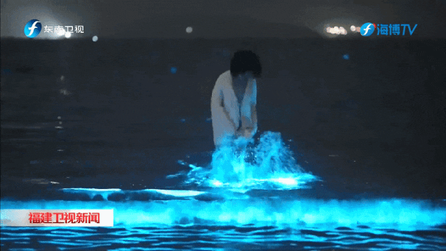 市长带你游｜黄建波：国际风范 青春时尚 来平潭体验“海岛味”