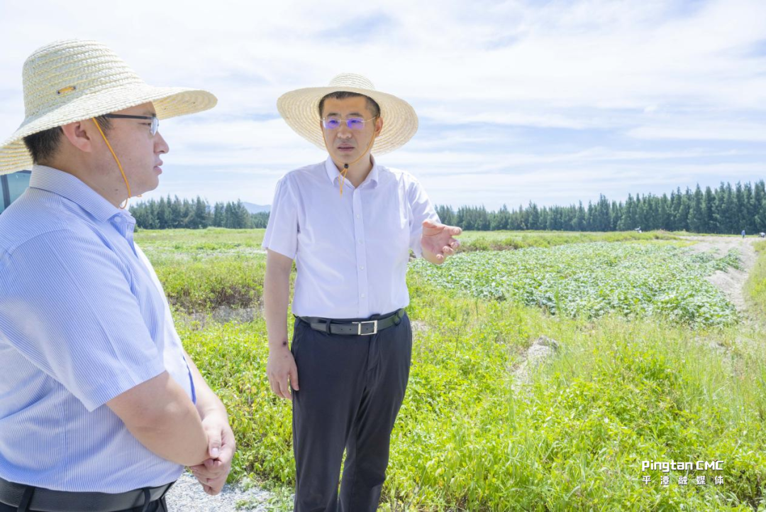 平潭综合实验区领导调研耕地保护并开展巡林工作