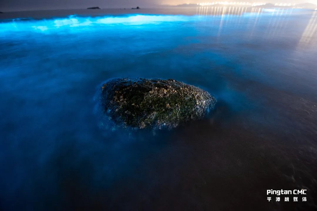 作家周宏藩笔下的蓝眼泪