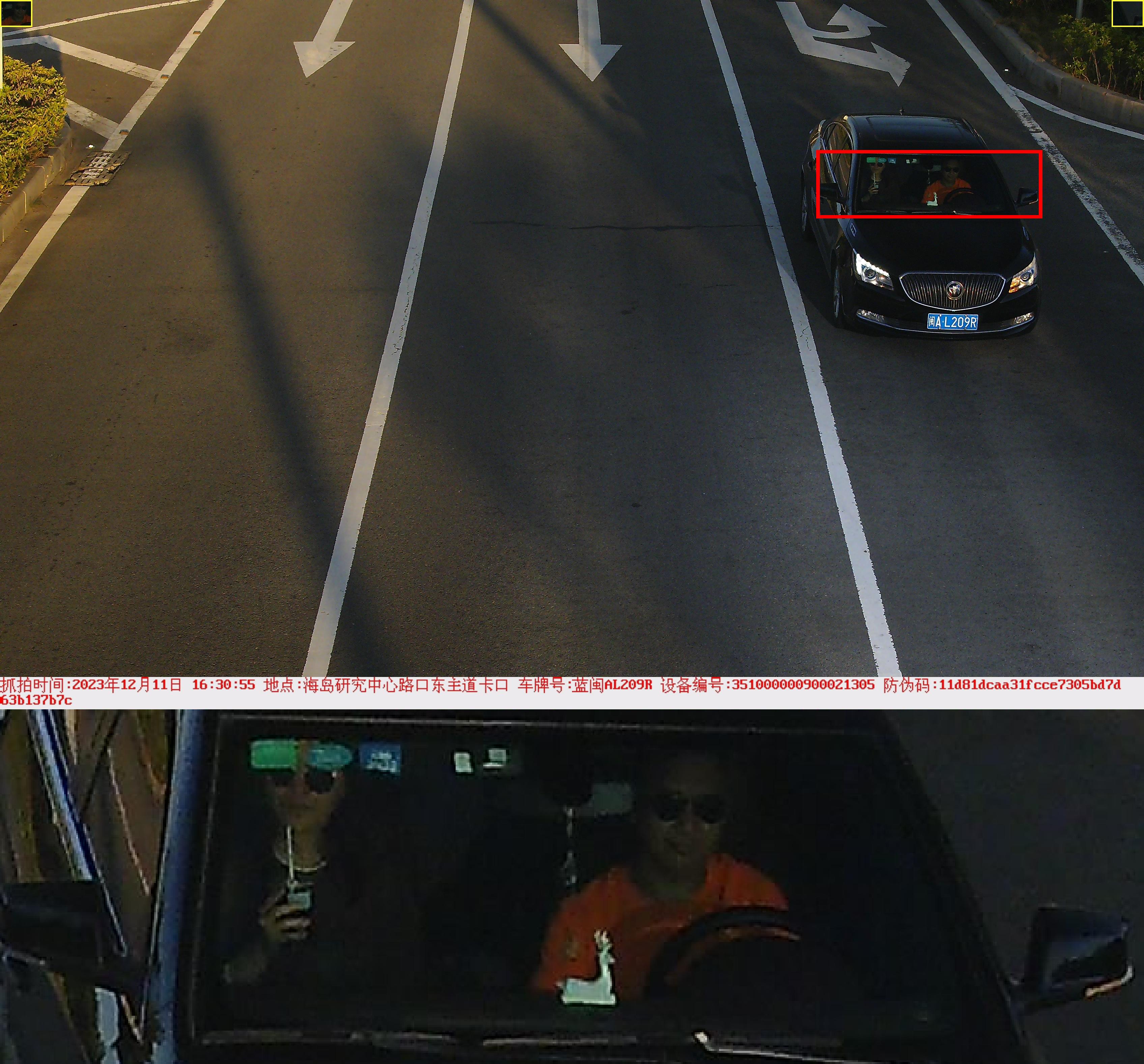 闽AL209R.jpg