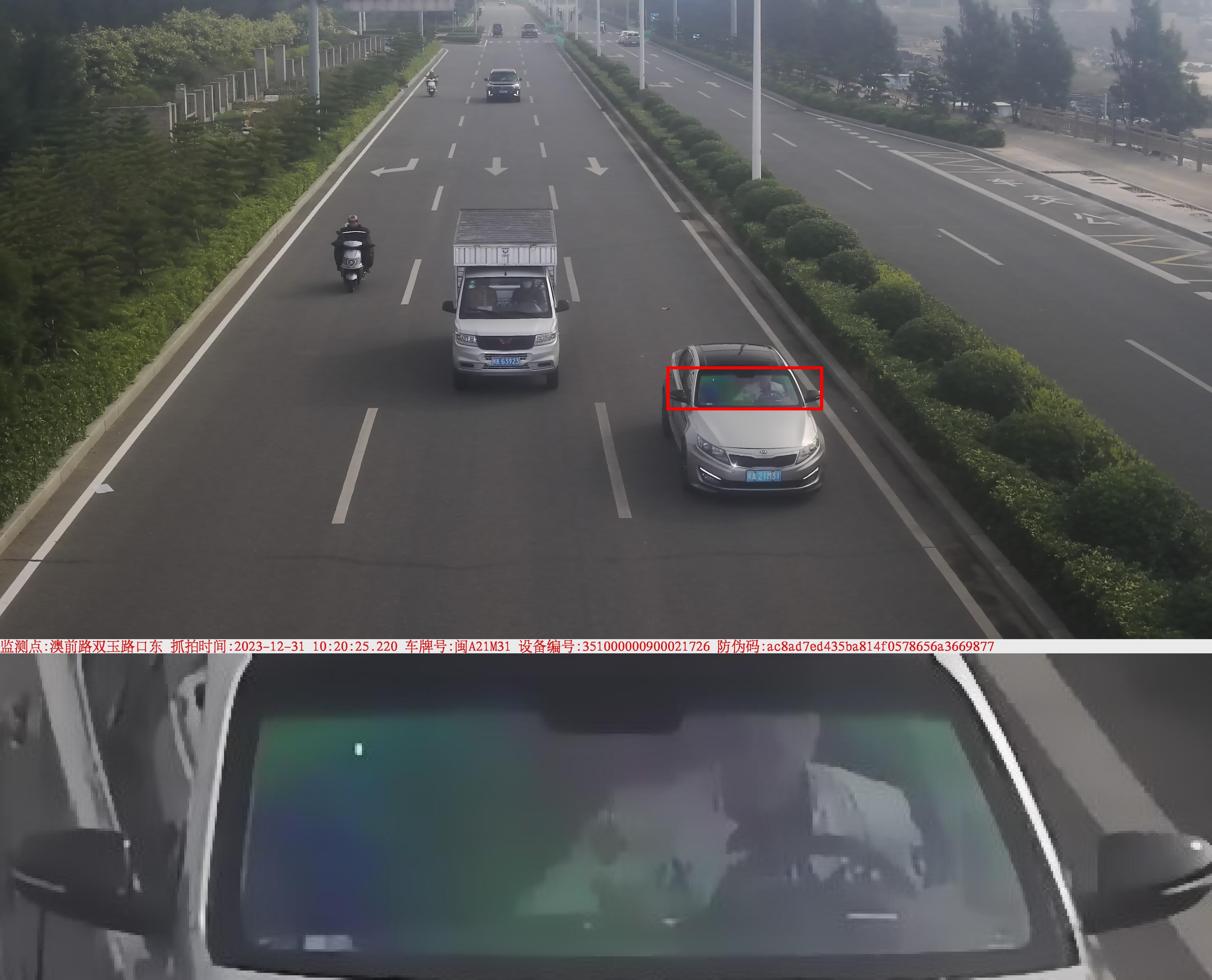闽A21M31.jpg