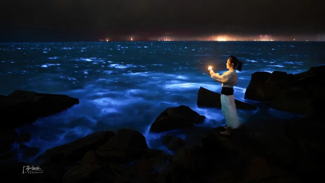 冲上热搜平潭2024年的第一场蓝眼泪曝光量超千万