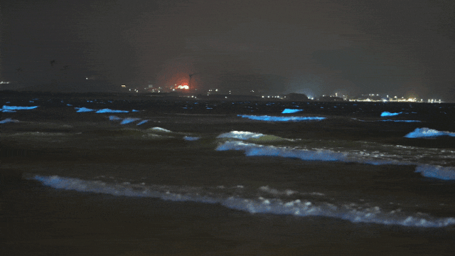 ta像一个个性的少女才会踏浪而来条件都适宜的情况下水温,天气,潮汐