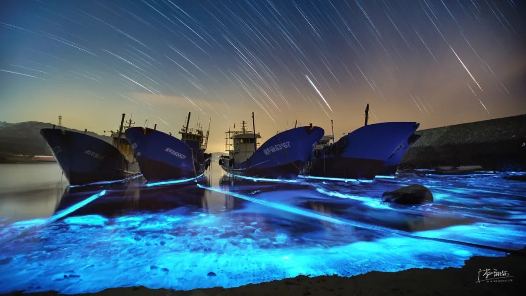 昨夜平潭蓝眼泪爆发蓝色惊喜如约而至