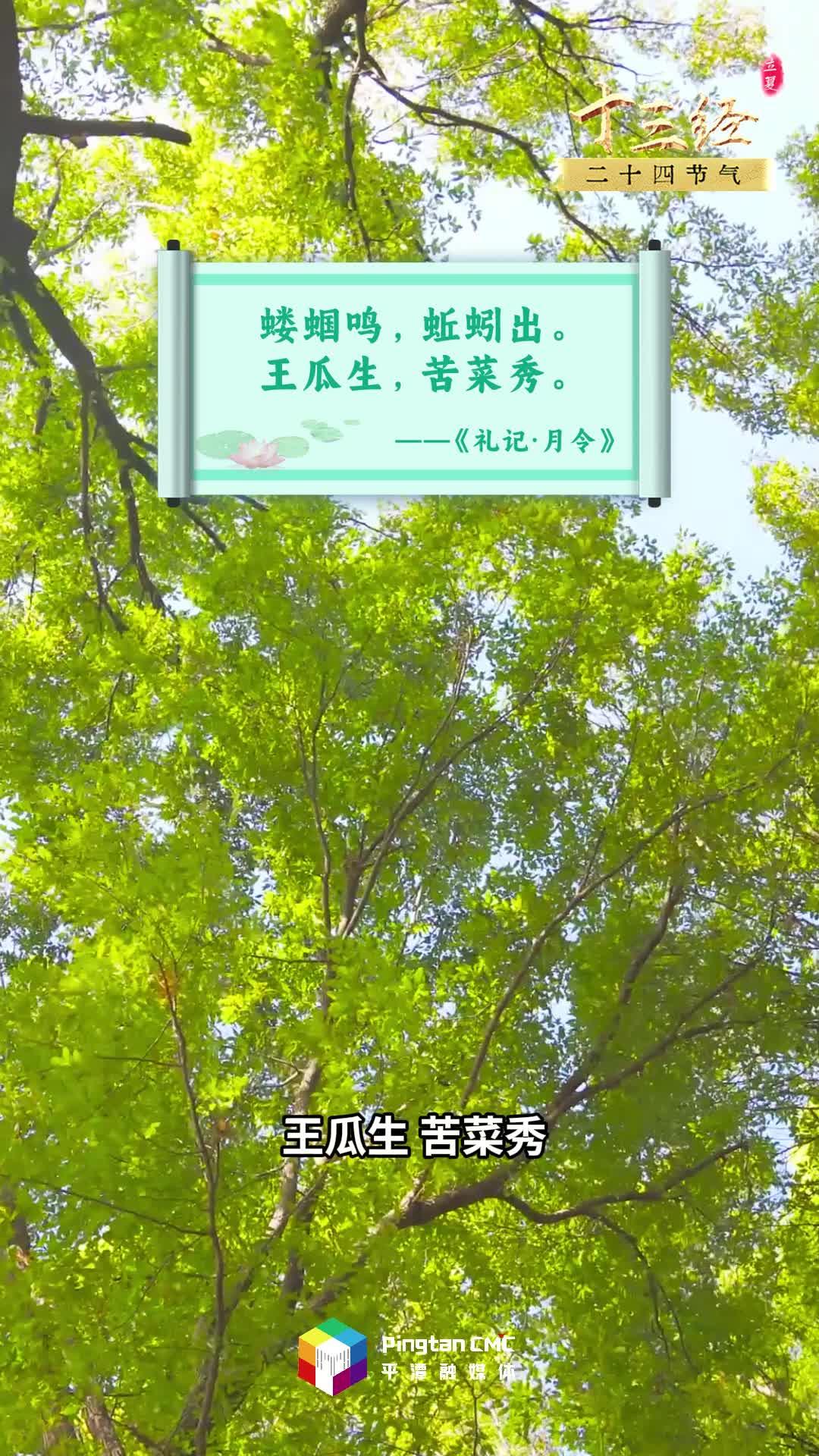 “十三经”二十四节气丨立夏