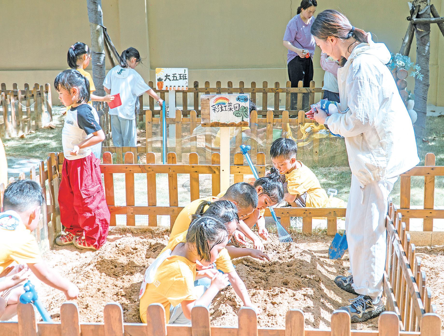 岚岛多所幼儿园开展劳动教育实践活动