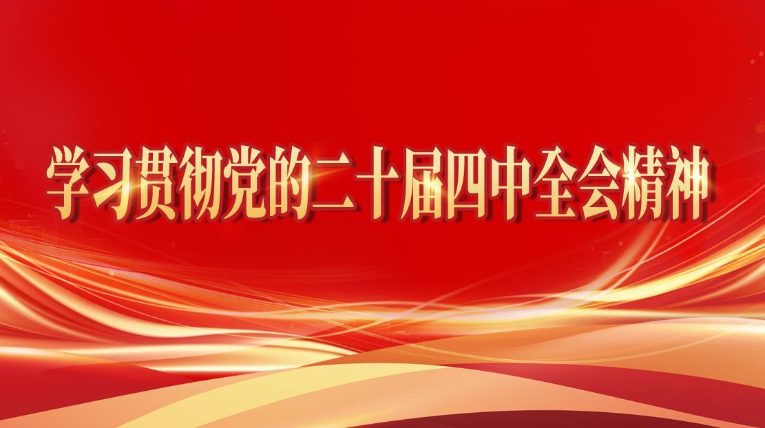 学习贯彻党的二十届四中全会精神