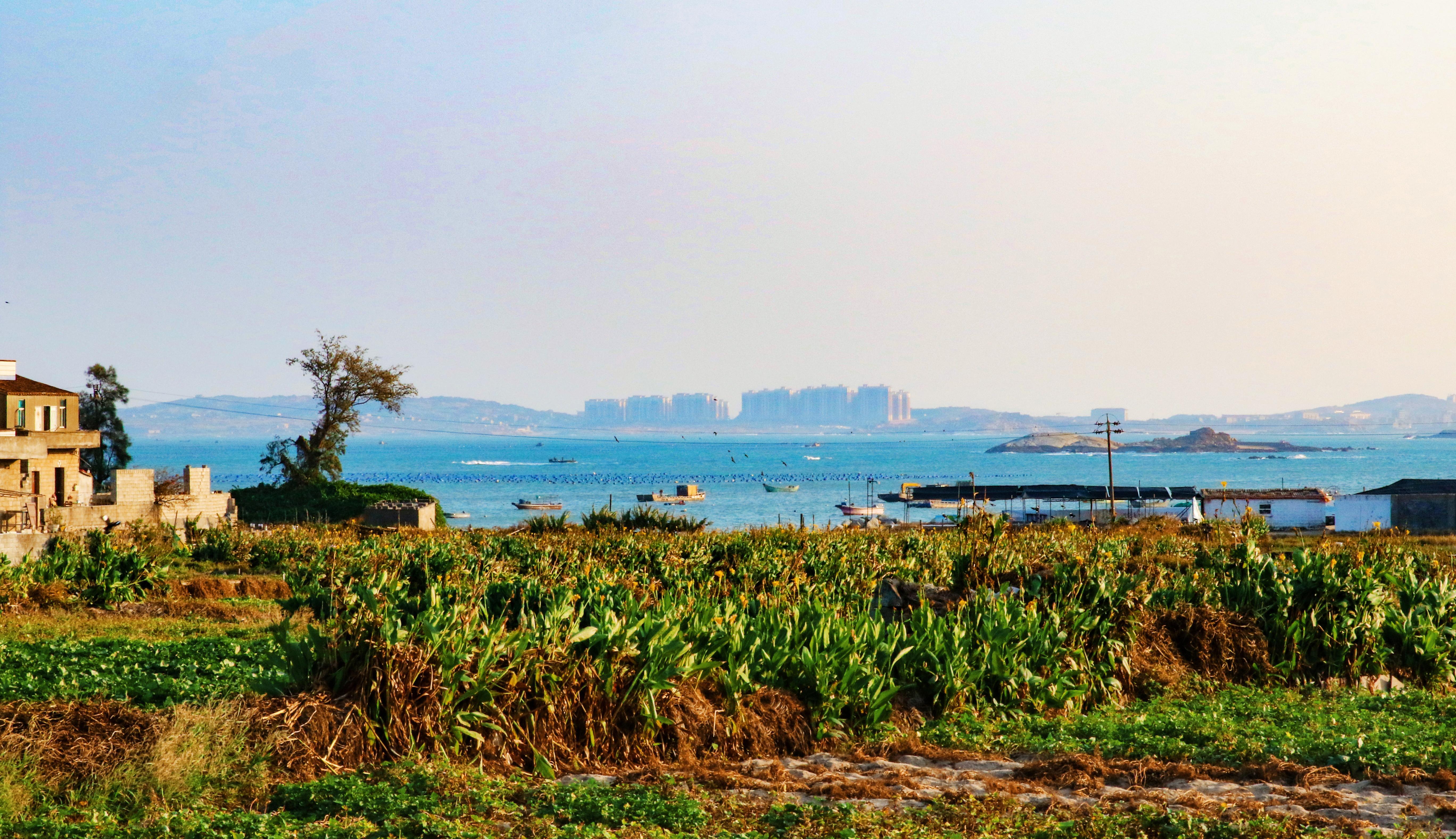 金秋岚岛 山海同丰