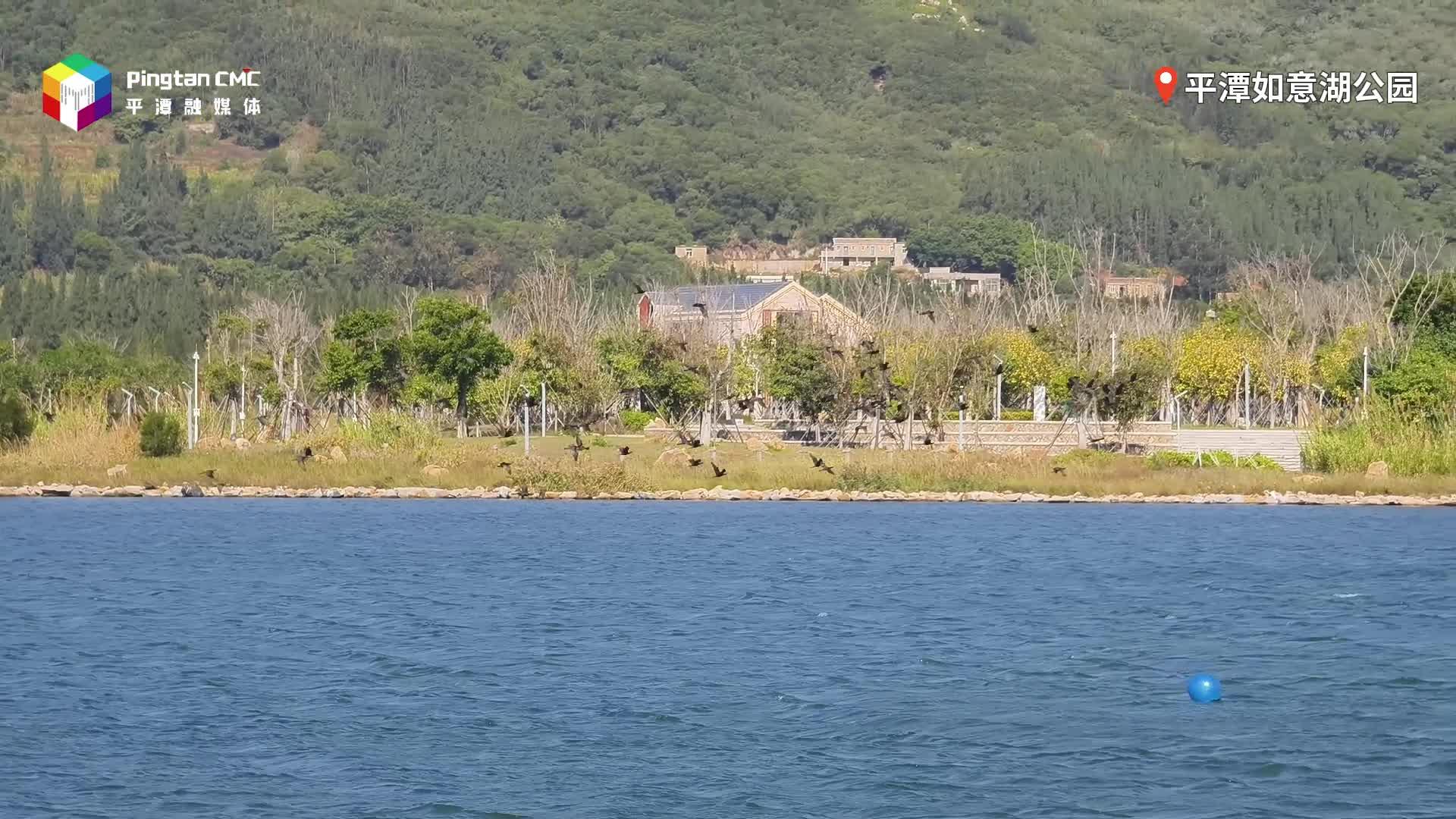 风起岚岛，羽翼如诗！