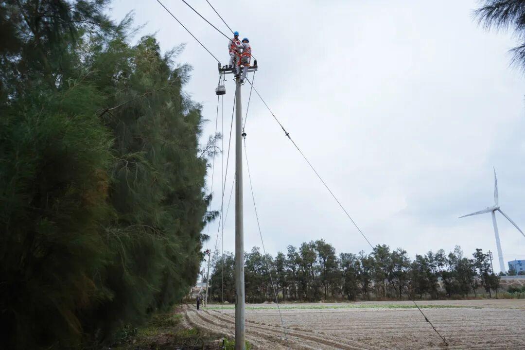 年末攻坚 | 配网线路综合检修 备战迎峰度冬供电可靠
