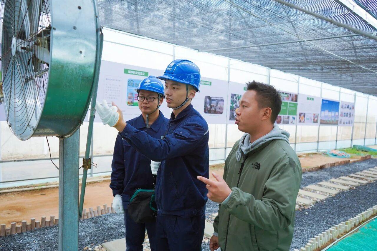 福建平潭探索“电管家”服务新模式推动两岸融合发展