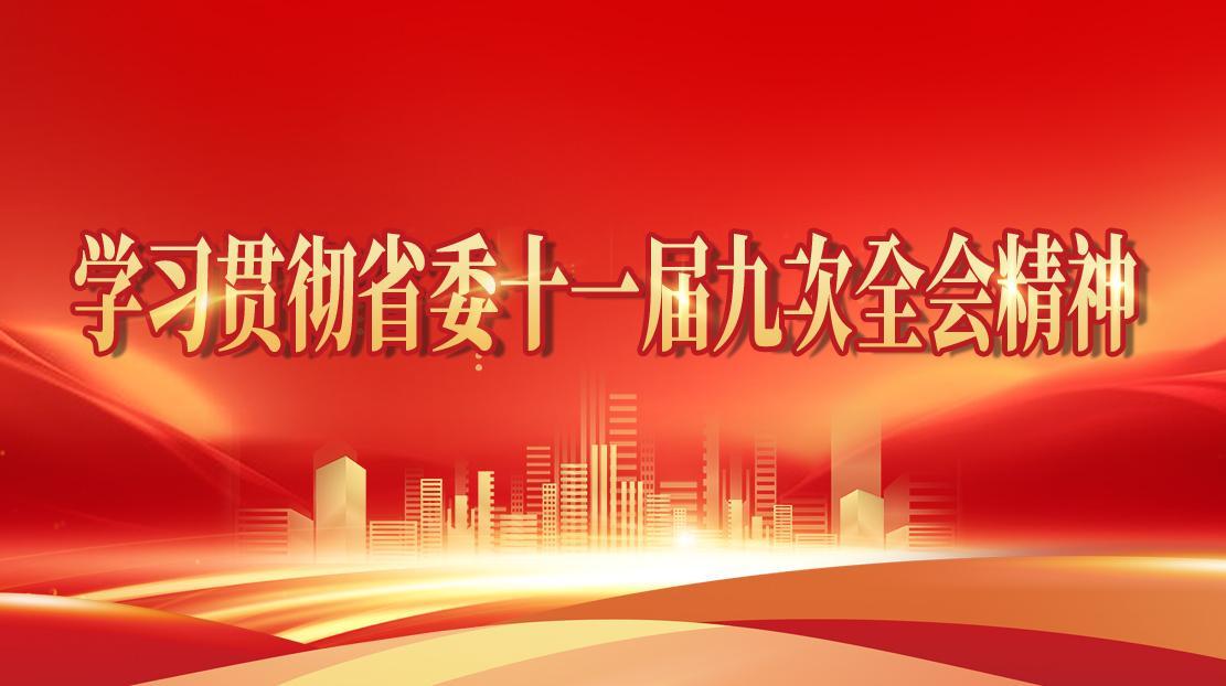 学习贯彻省委十一届九次全会精神