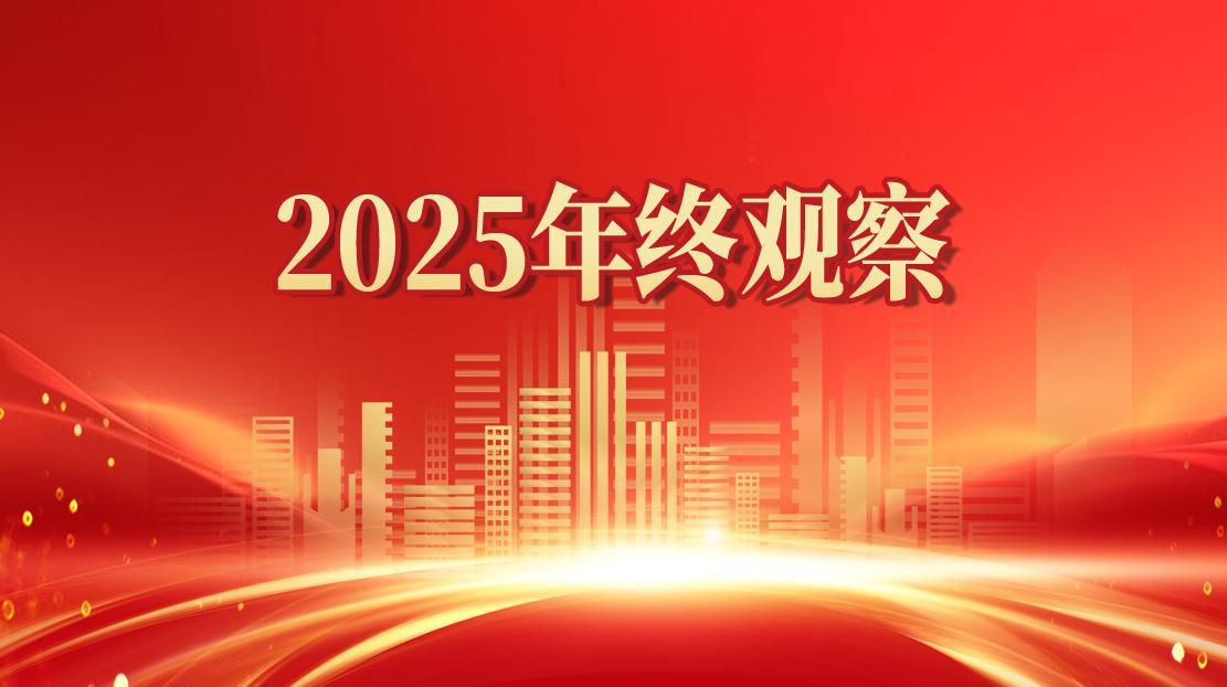2025年终观察