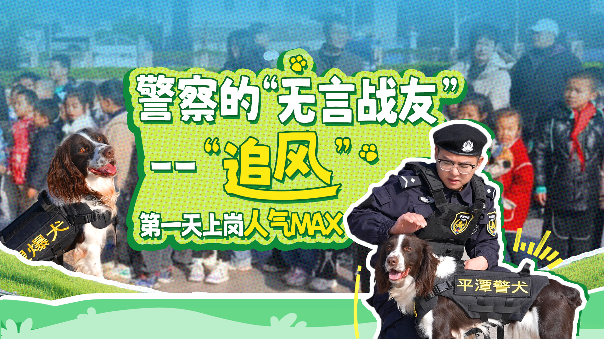 警犬炼成记！它们是警察的“无言战友”