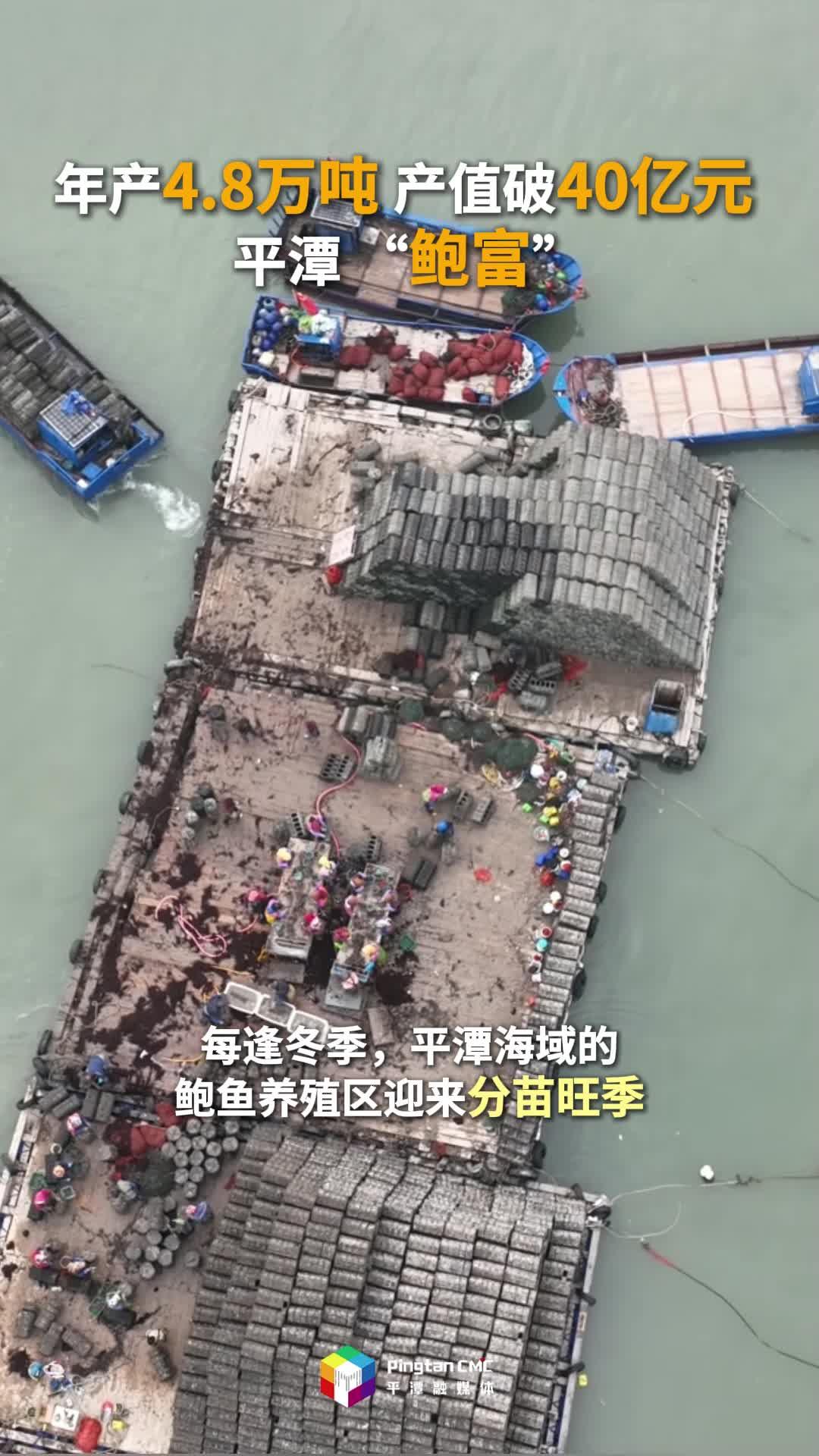 年产量4.8万吨，产值突破40亿元，平潭“鲍富”！