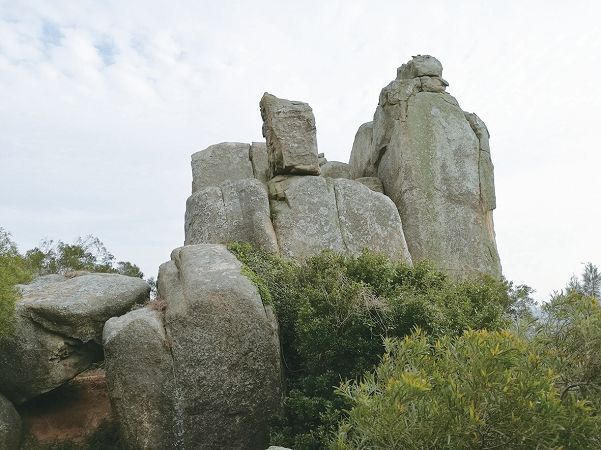 仙霞有奇石 “文武”守山海