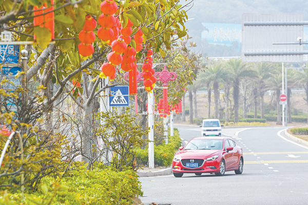 张灯结彩迎新春 平潭街巷年味浓