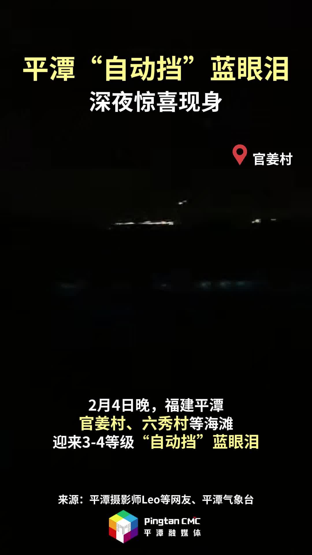 深夜平潭蓝眼泪闪现，自动挡惊喜现身