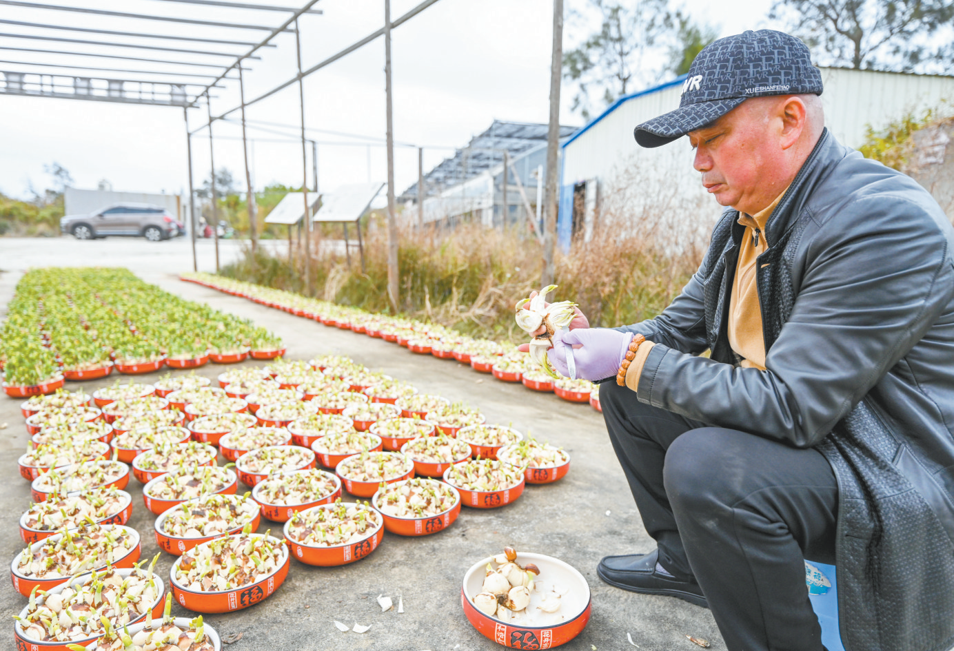 平潭水仙雕刻 一刀一韵刻清姿