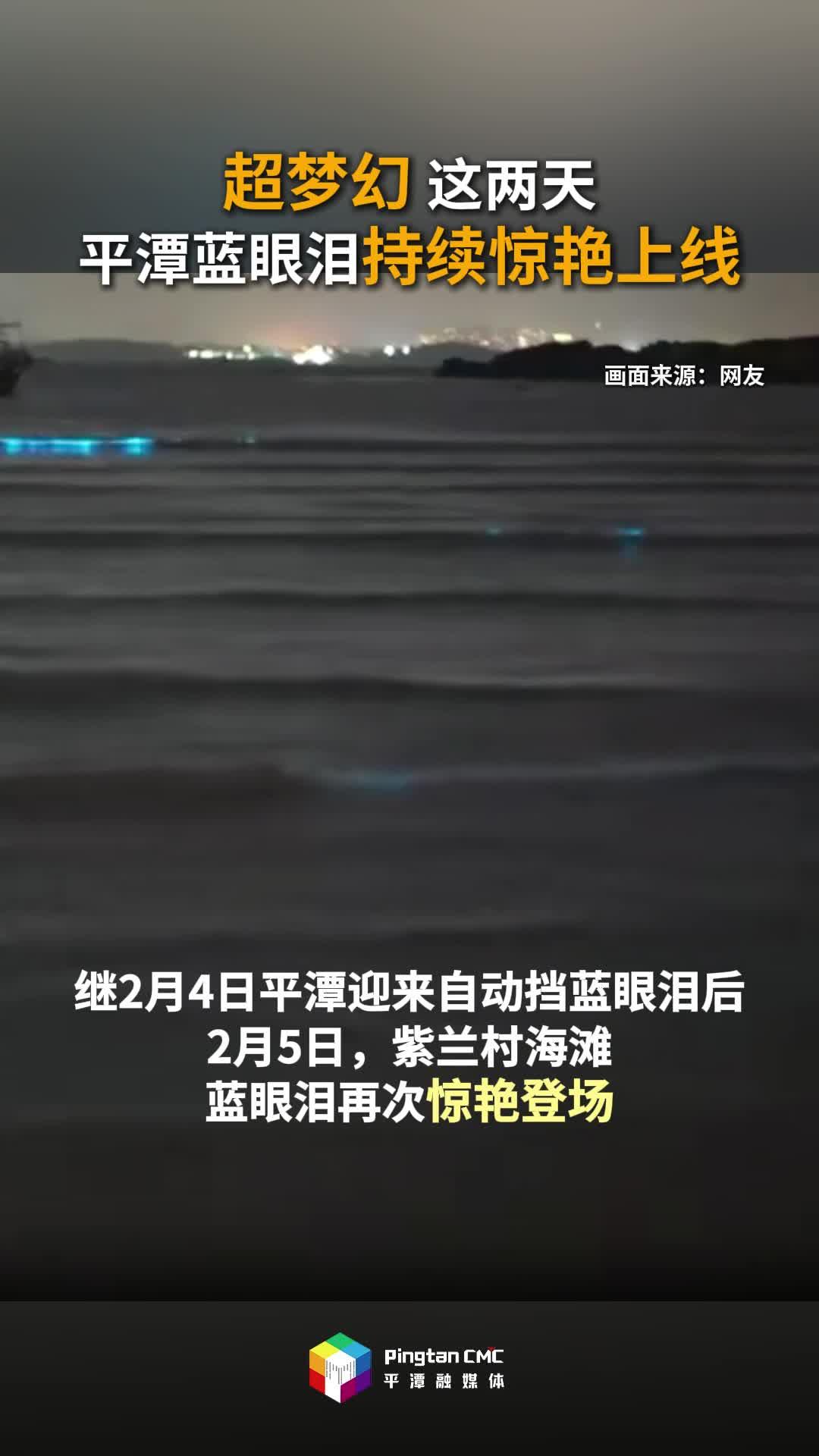 超梦幻！这两天，平潭蓝眼泪持续惊艳上线