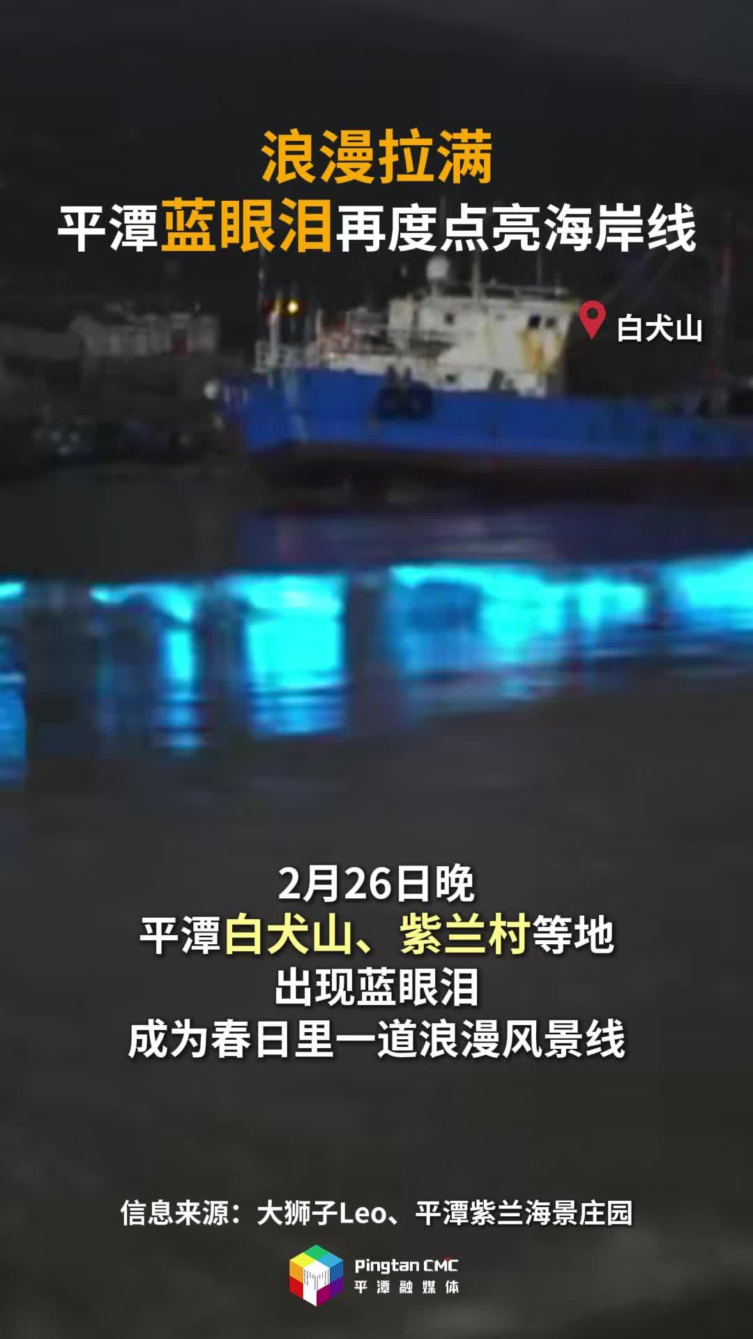 浪漫拉满！平潭蓝眼泪再度点亮海岸线