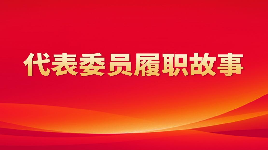 代表委员履职故事
