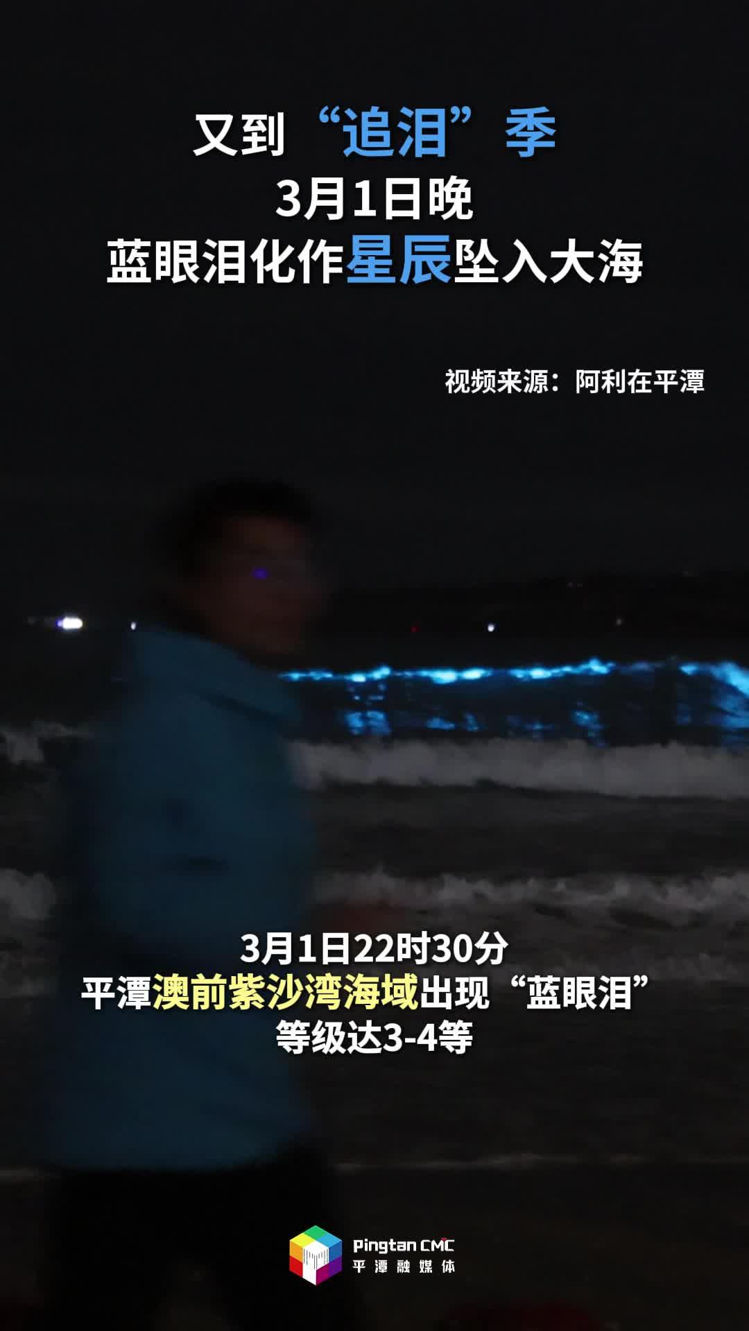 又到“追泪”季，3月1日晚，蓝眼泪化作星辰坠入大海