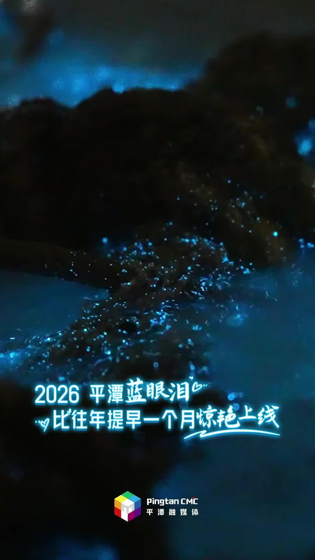 2026平潭蓝眼泪已上线！这份追光指南请收好