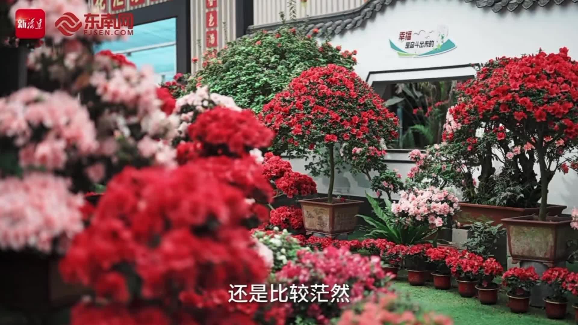 此山此海间，台胞心安处