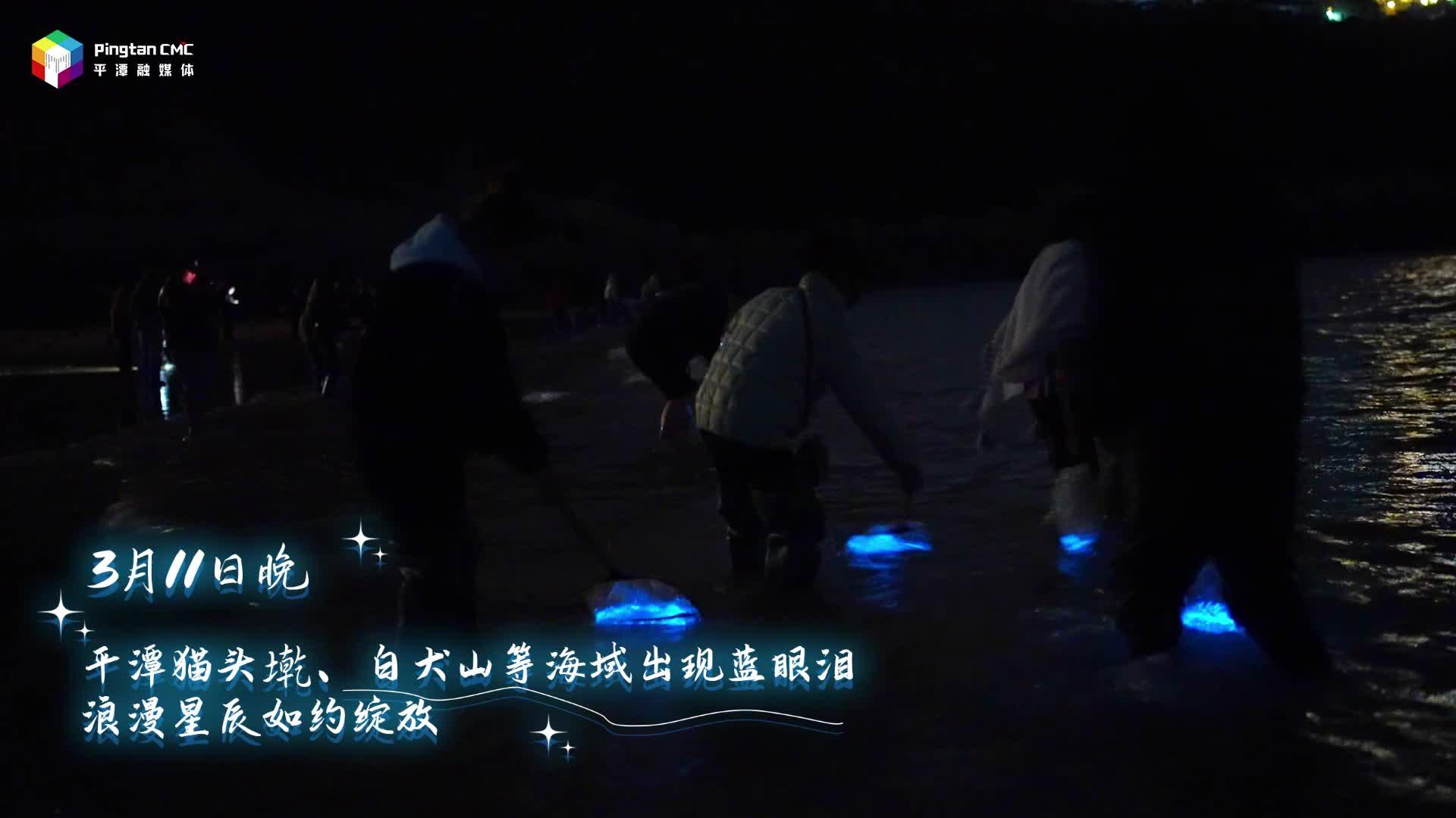 平潭猫头墘、白犬山等地出现蓝眼泪