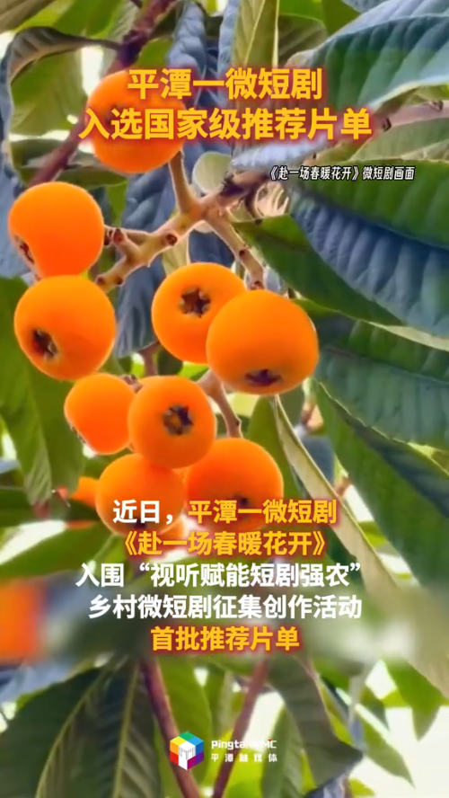 喜报！平潭一微短剧入选国家级推荐片单
