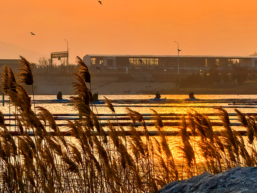向美好平潭出发：暮色染湖天，飞鸟掠余晖