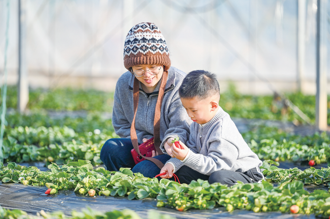 平潭龙海村：农旅融合绘就振兴新图景