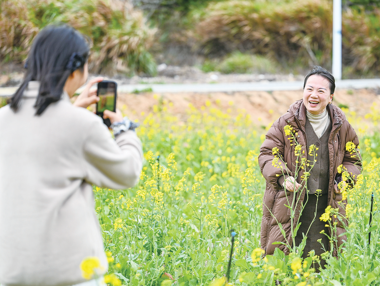 岚岛花开春意浓