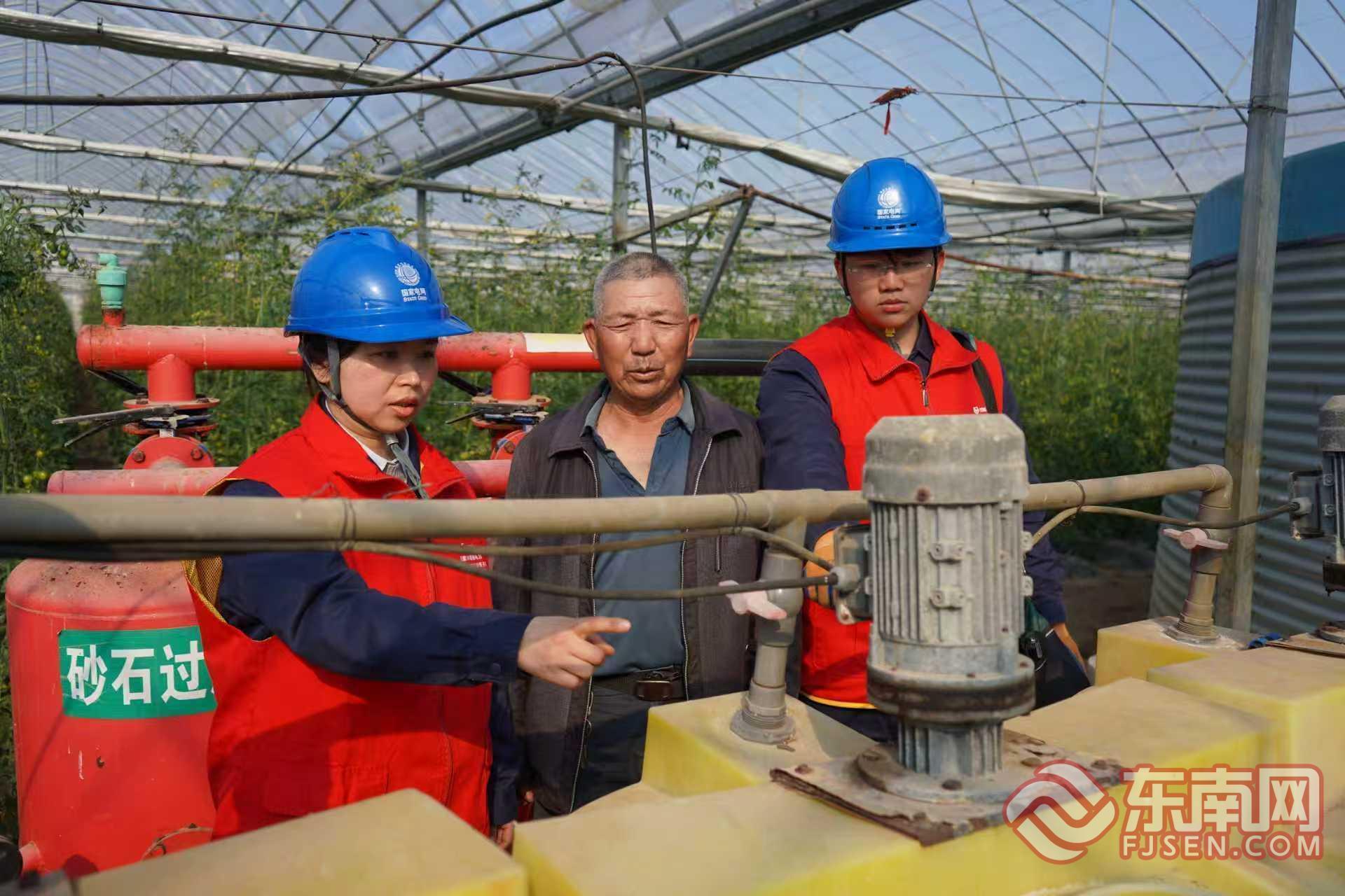 国网平潭供电公司：进棚护春耕“满格电”点亮丰收路