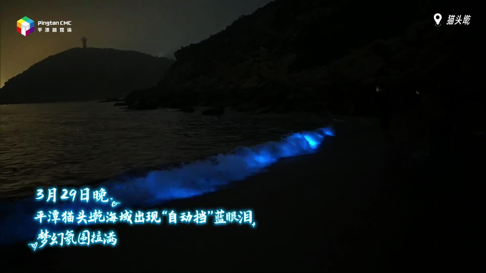 平潭“自动挡”蓝眼泪浪漫再现