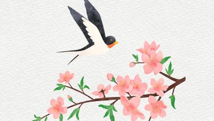 #属于中国人的清明仪式感#