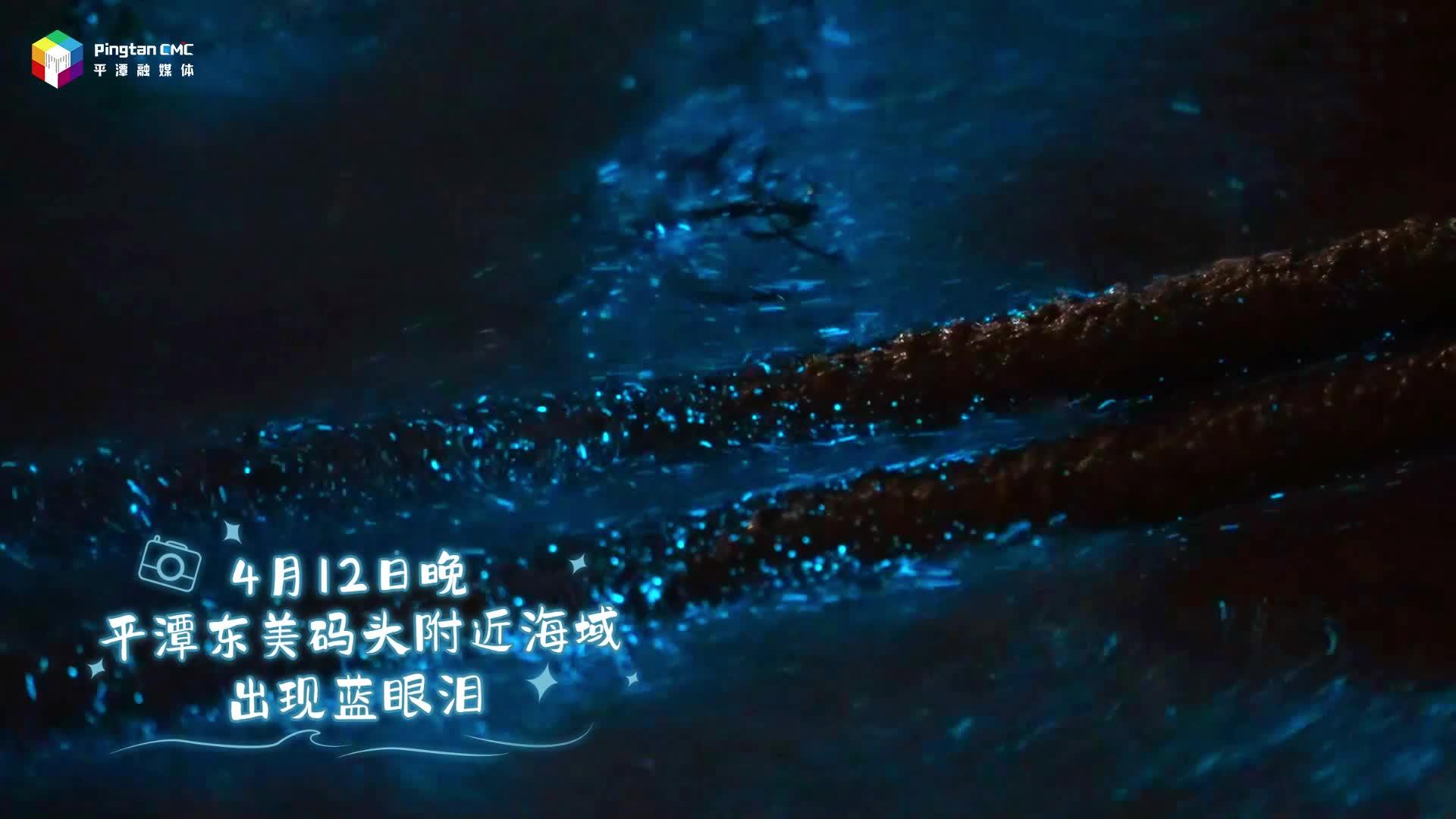 踏入银河，追一场荧光蓝的浪漫