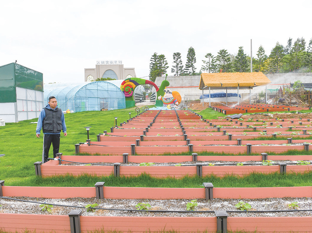 平潭上楼村白玉蜗牛示范基地扩建项目稳步推进