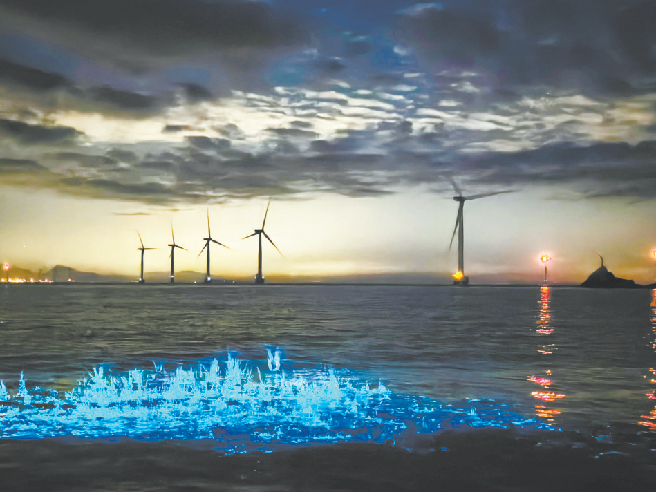 赛场逐梦 海岛寻蓝