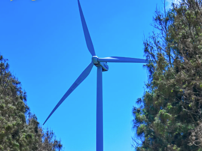 向美好平潭出发：风遇林止，心向自由