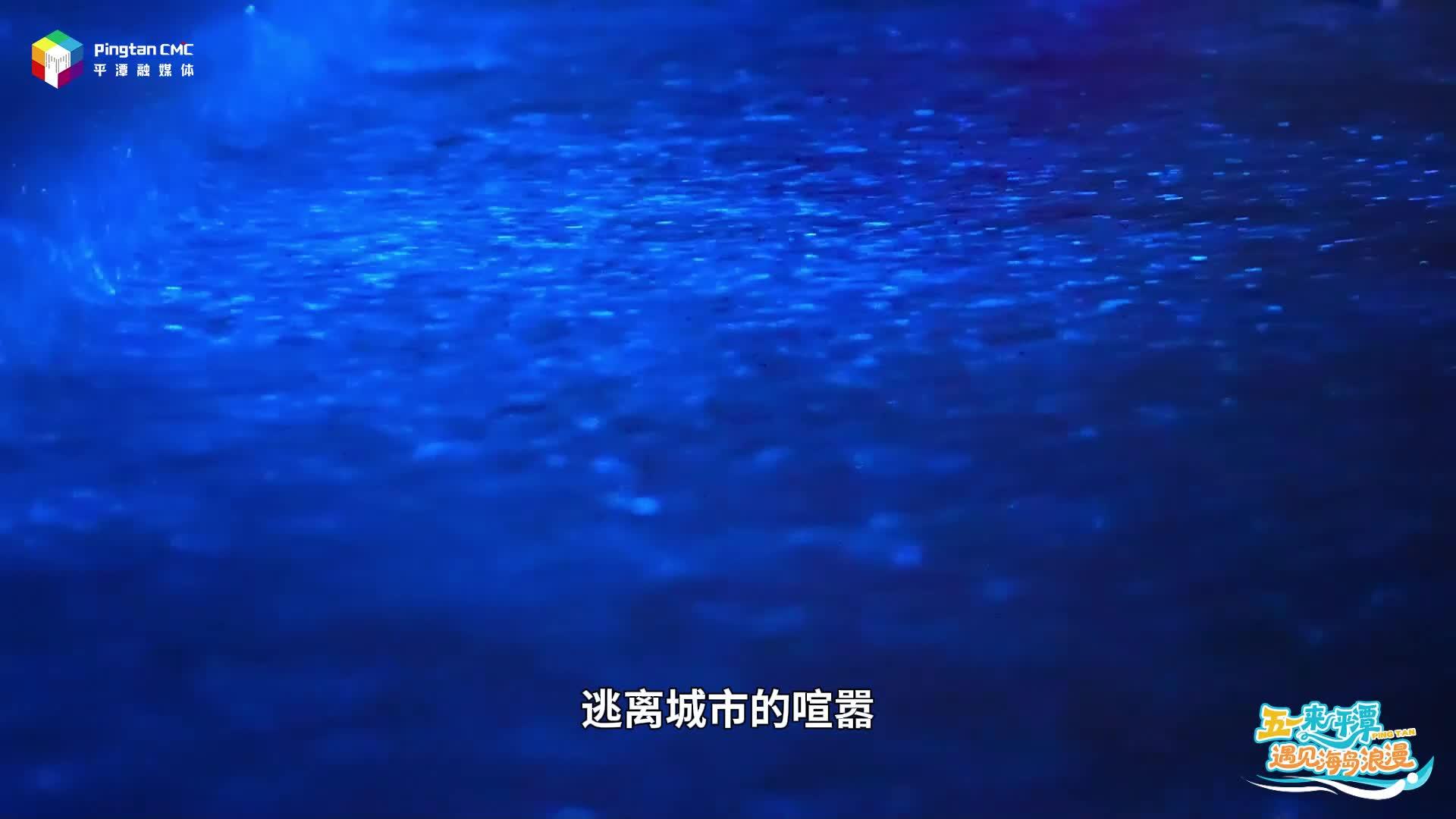 这个“五一”来平潭追一场蓝眼泪吧