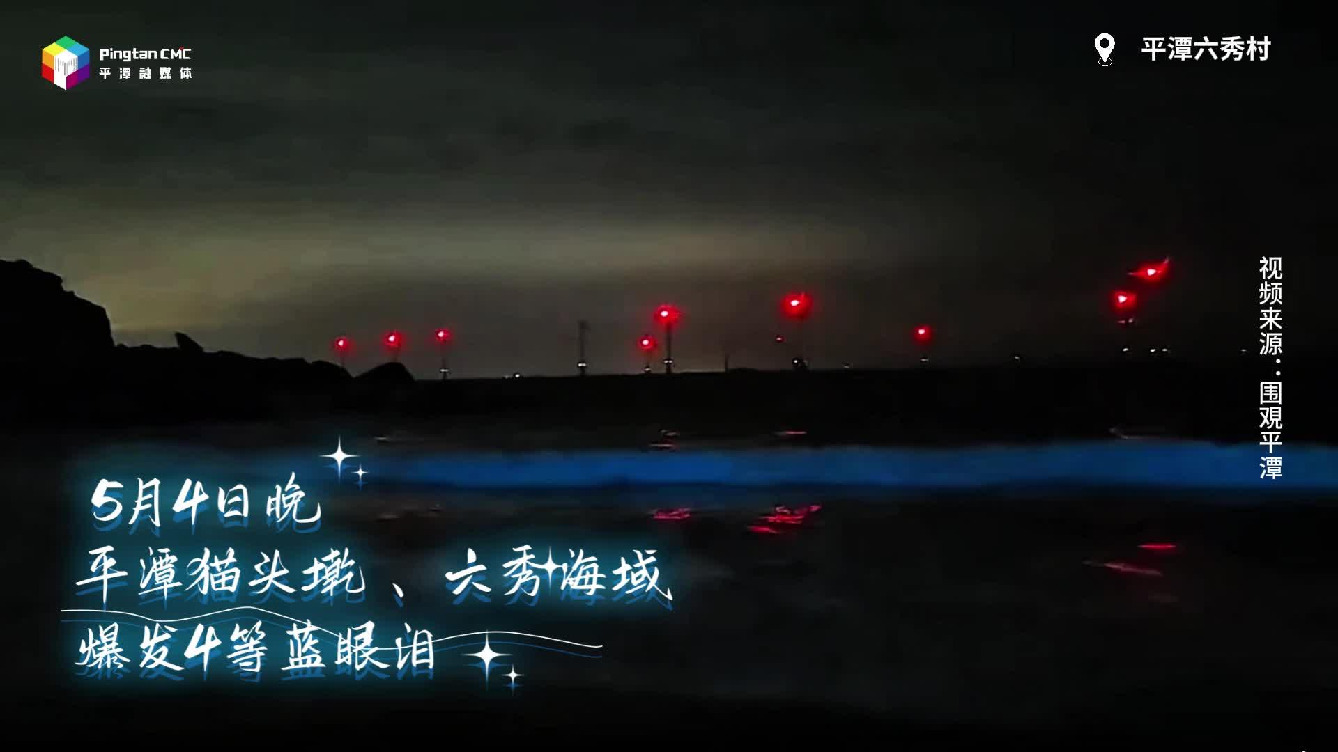 “五一”假期平潭蓝眼泪首次爆发