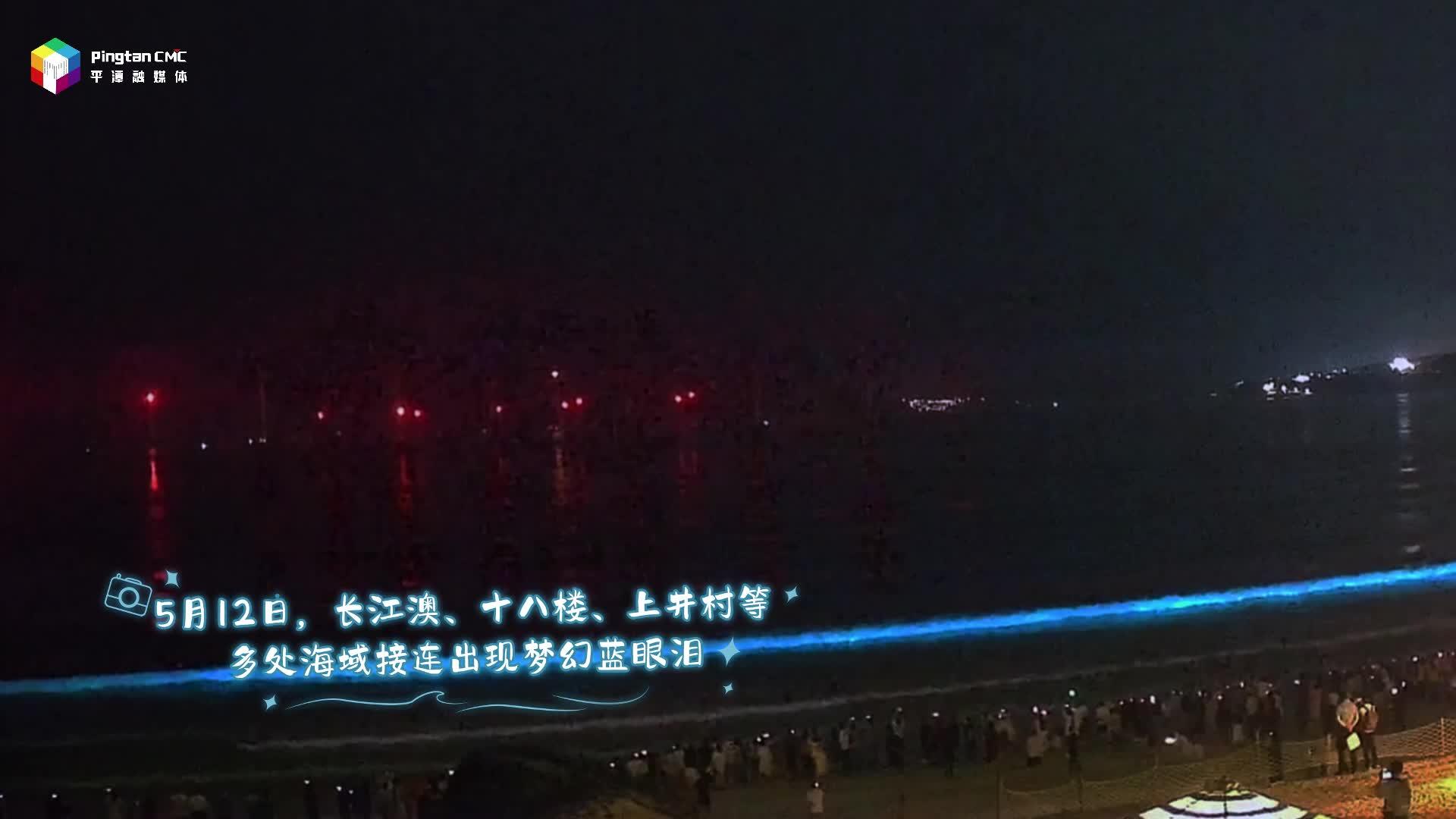 5月12日，平潭多处海域接连出现梦幻蓝眼泪